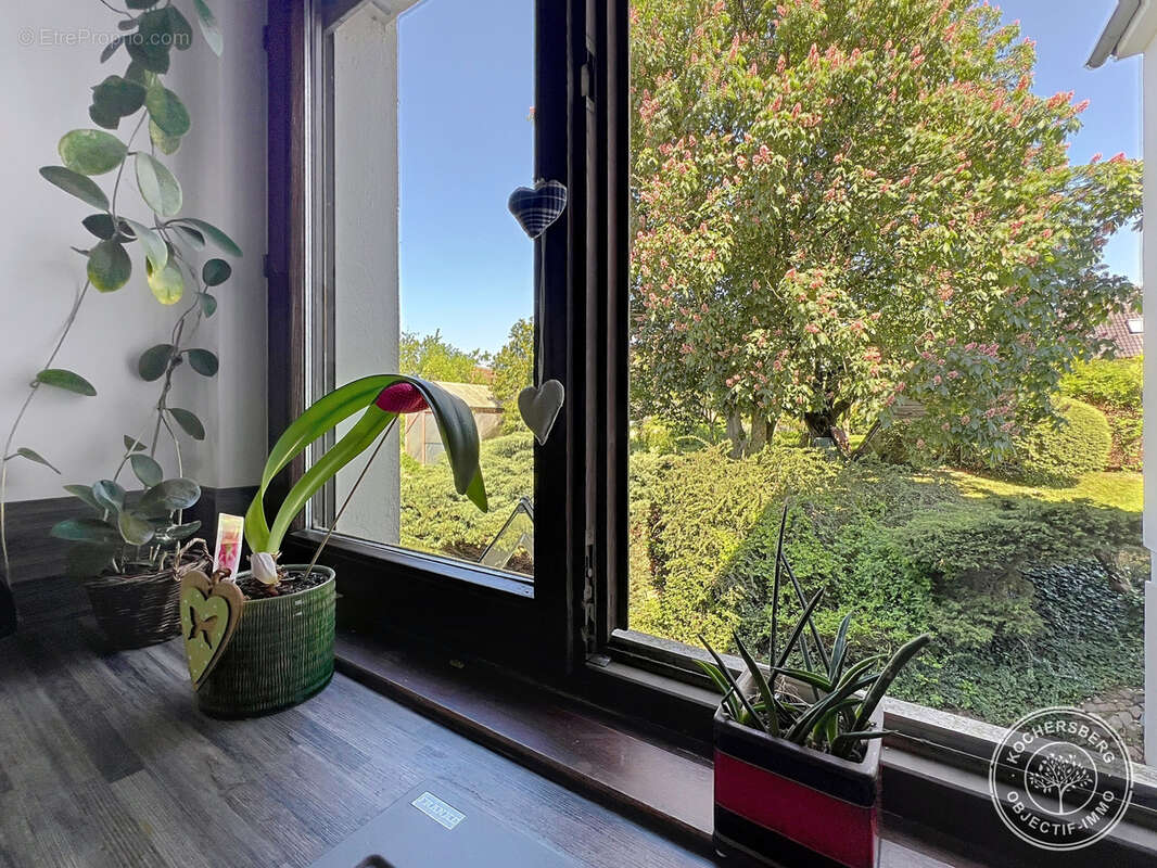 Appartement à GRIESHEIM-SUR-SOUFFEL