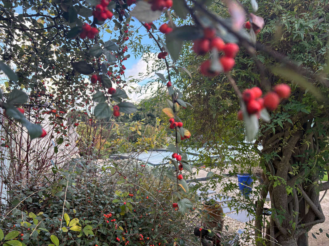 Maison à RANG-DU-FLIERS