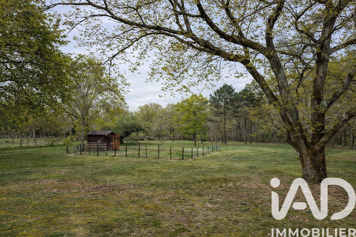Maison 154 m² à Saint-Laurent-Des-Hommes  - photo 4