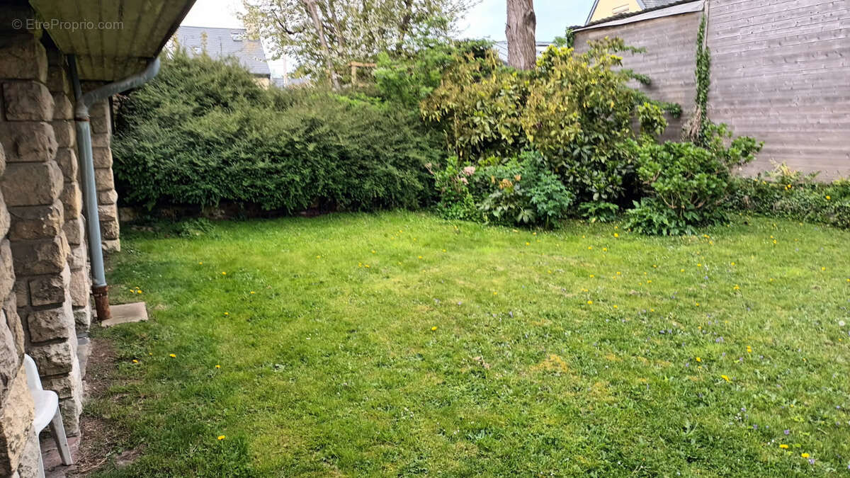 Commerce à LE HAVRE