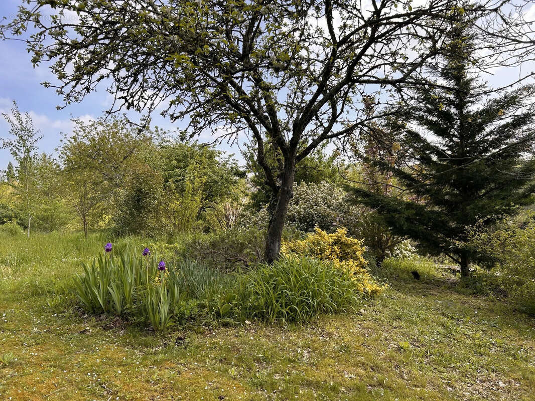 Maison à SAINT-BENOIT-DU-SAULT