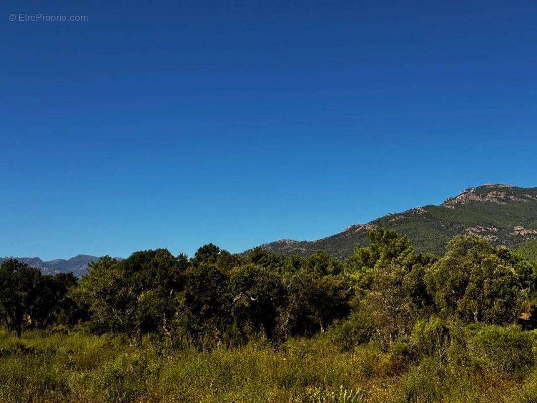 Maison à PORTO-VECCHIO