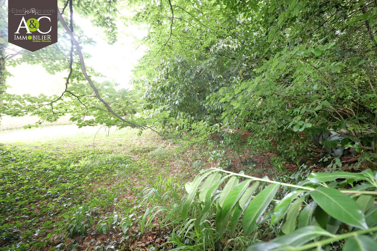 Terrain à QUEVEN