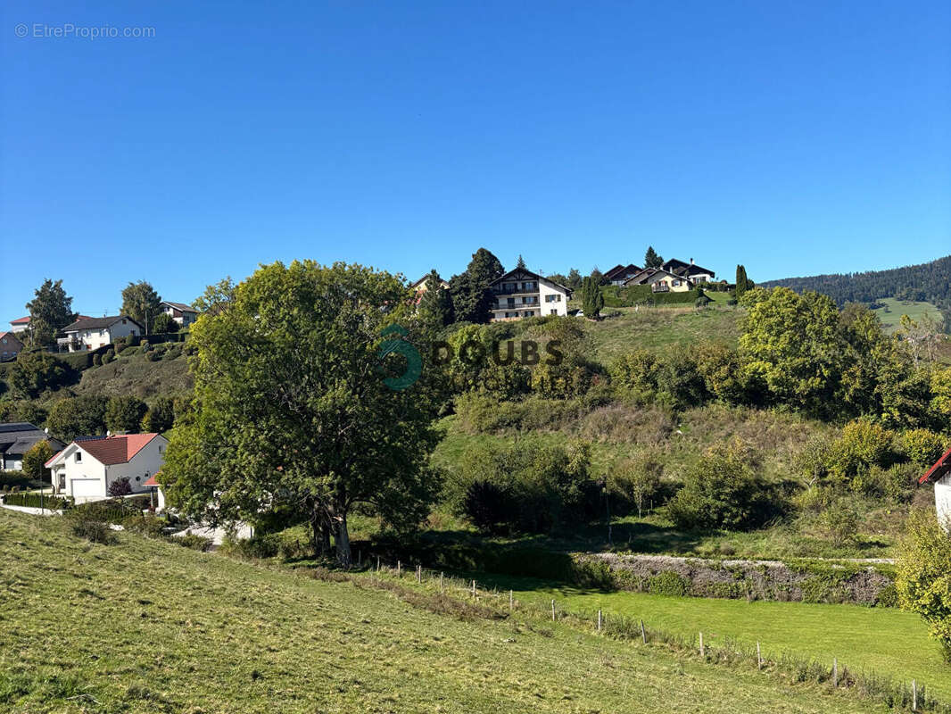 Terrain à GUYANS-VENNES