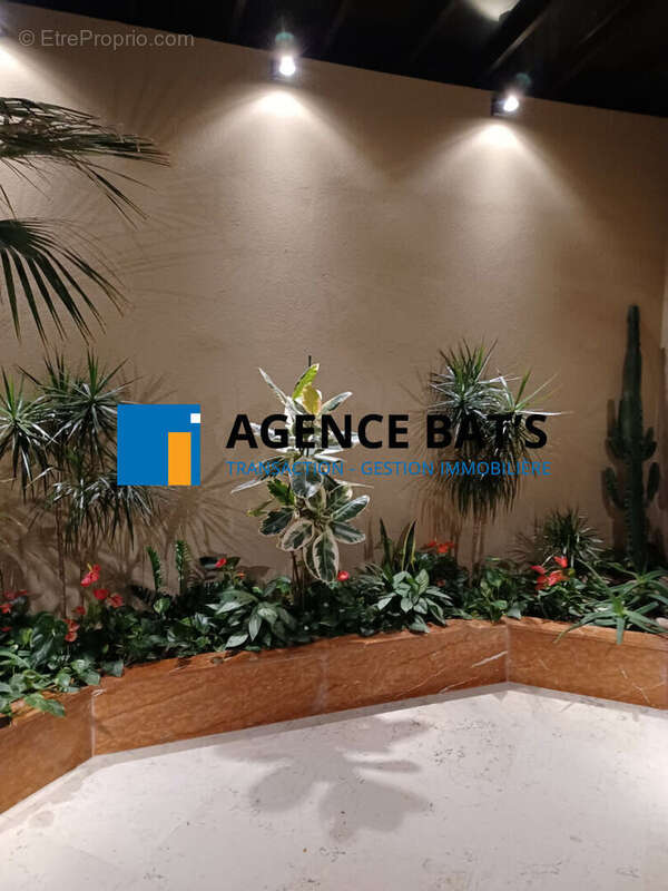 Photo 4 - Commerce à SAINT-ETIENNE