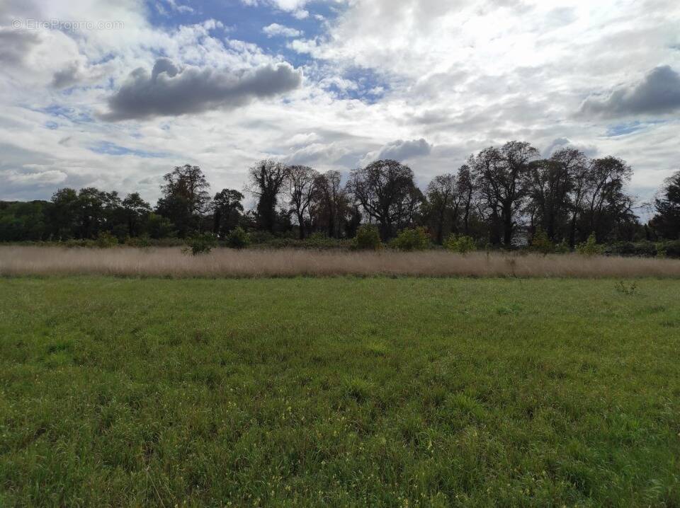 Terrain à ROSNY-SUR-SEINE