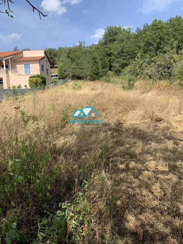 Terrain à VIEILLE-BRIOUDE