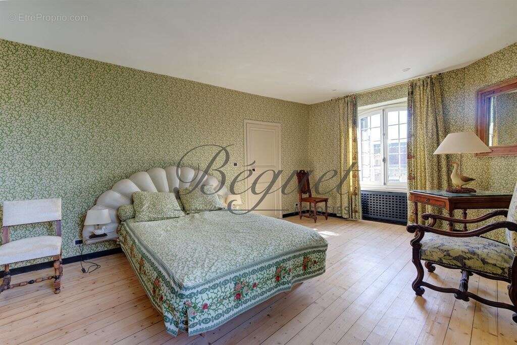 Vernou sur Brenne, 37210, Maison 340 m2, Maison de gardien et 2 gites 160 m2, 8 chambres, piscine, p - photo 14