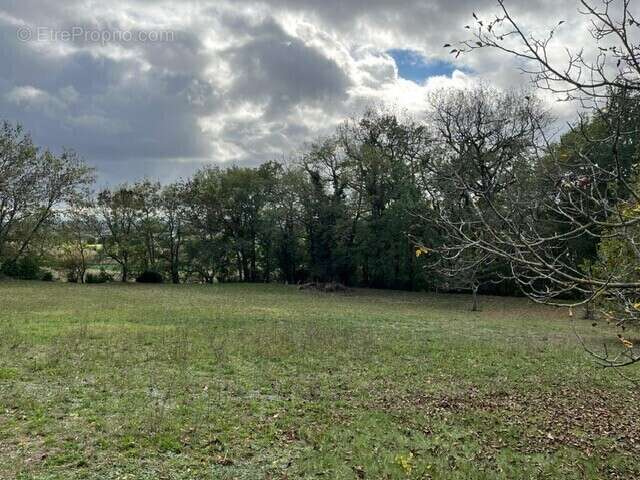 Terrain à GRATENTOUR