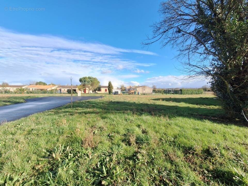Terrain à PISANY