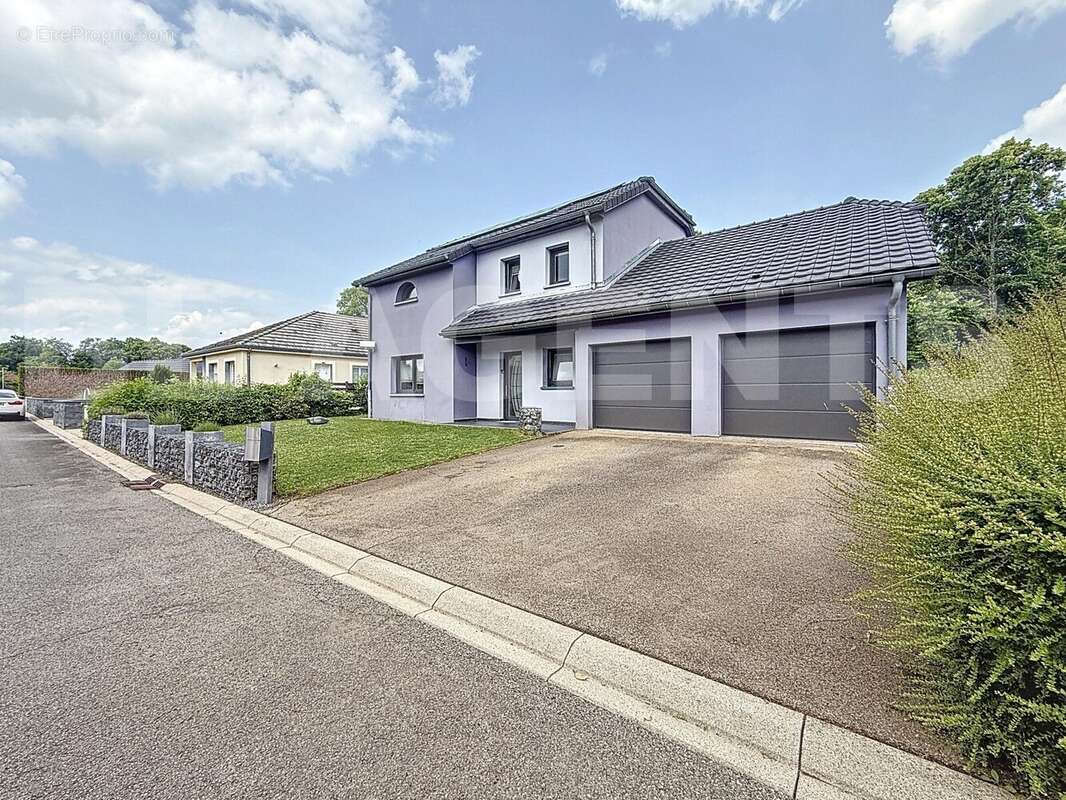 maas_00020 - Maison à REHON