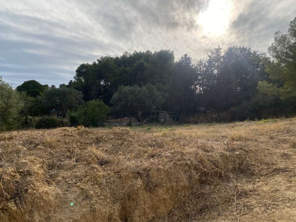 Terrain à BIZE-MINERVOIS