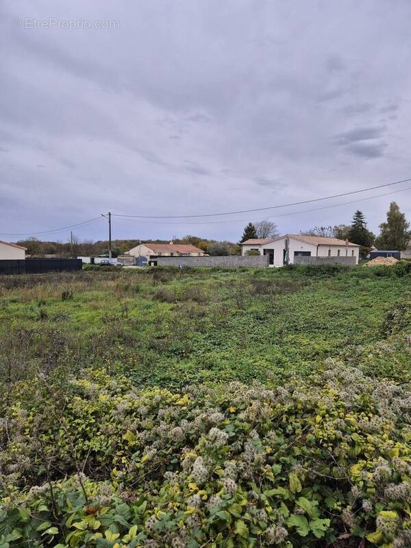 Terrain à VILLEJOUBERT