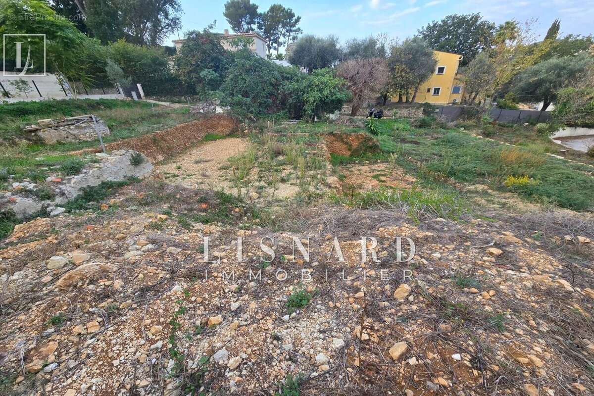 Terrain à VALLAURIS