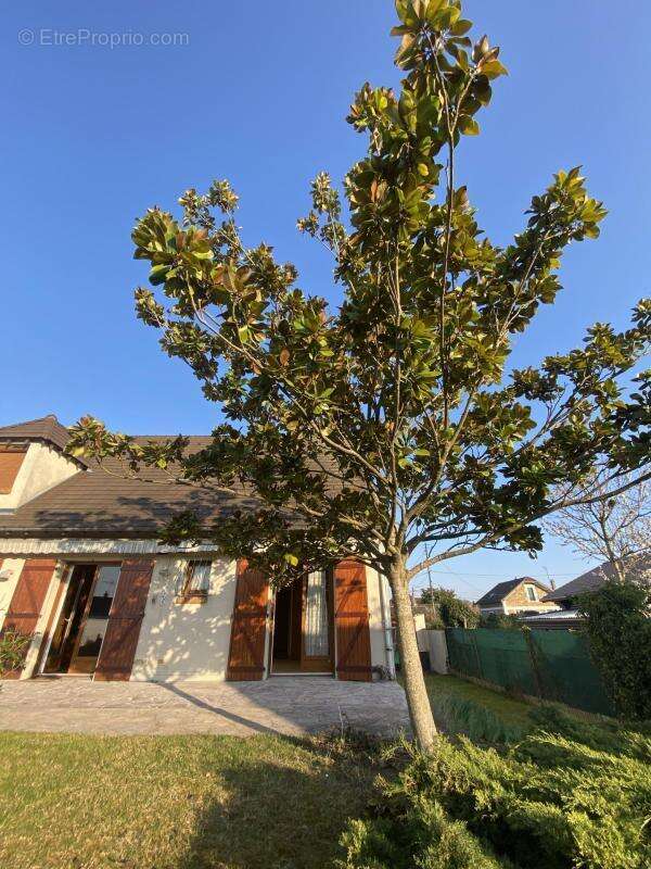 Maison à MORSANG-SUR-ORGE