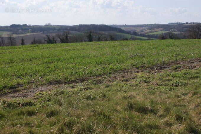 Terrain à TOURNECOUPE