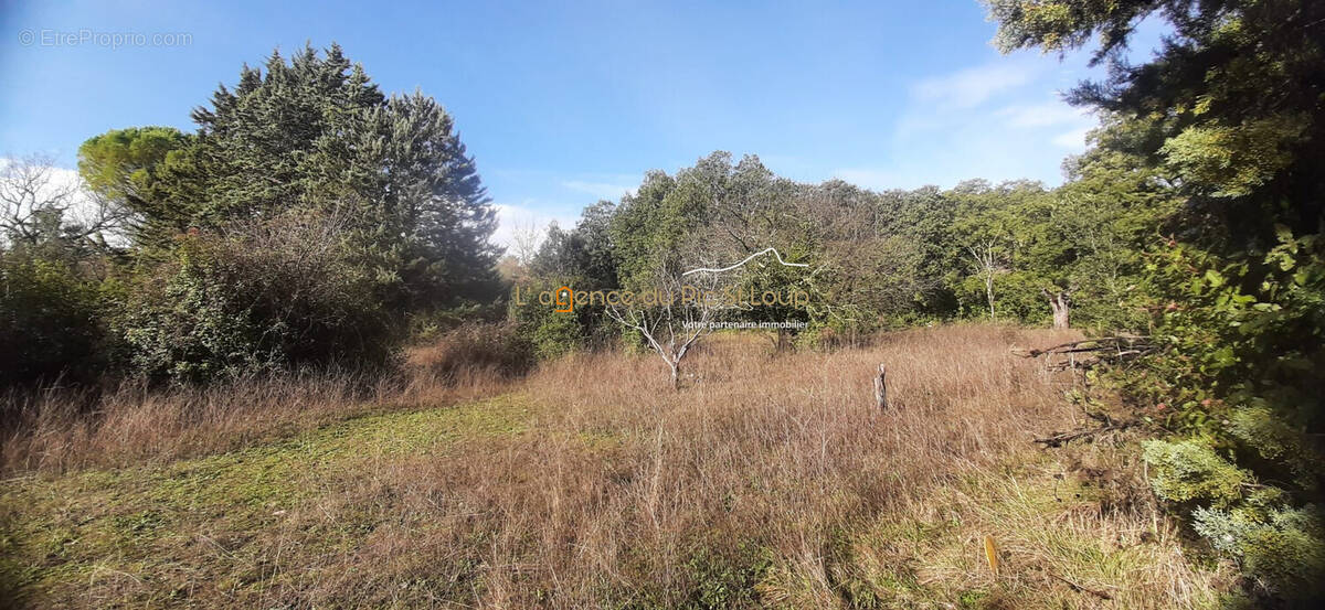 Terrain à SAUTEYRARGUES