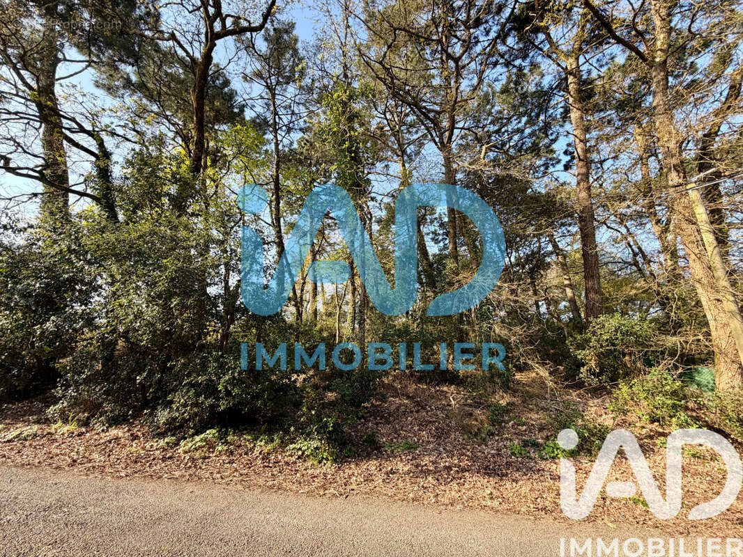 Photo 3 - Terrain à SAINT-PALAIS-SUR-MER