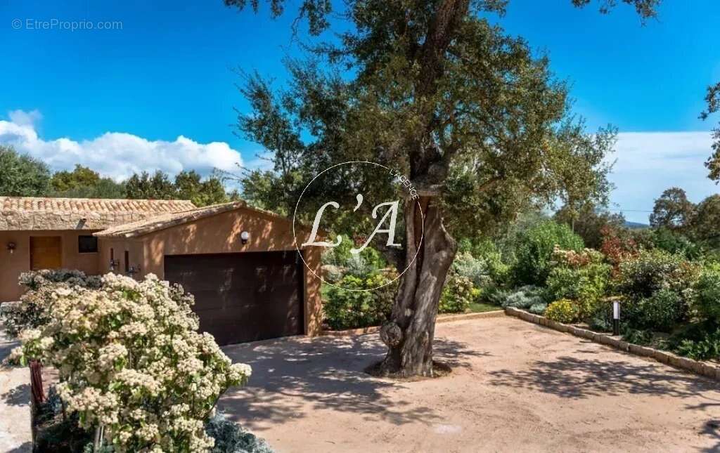 Maison à PORTO-VECCHIO