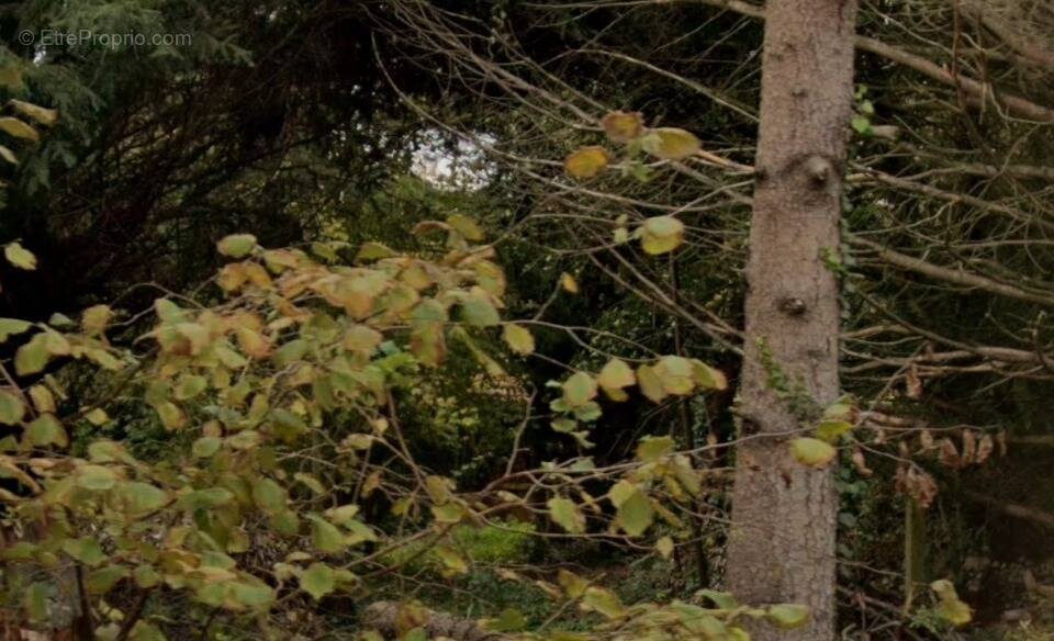 Photo Terrain à Saint-Michel-Sur-Orge au prix de 195 000€