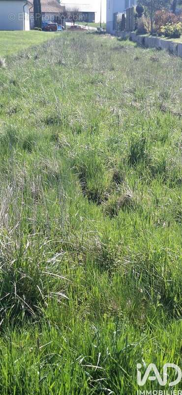 Photo 4 - Terrain à DIEBLING