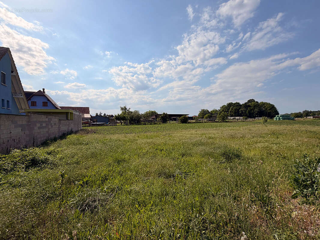 Terrain constructible 701 m2 à Heidolsheim - photo 4