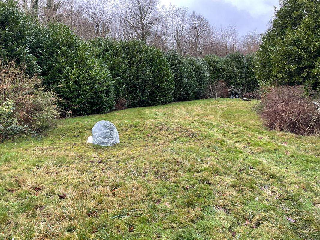 Terrain Villiers Saint Denis - photo 2