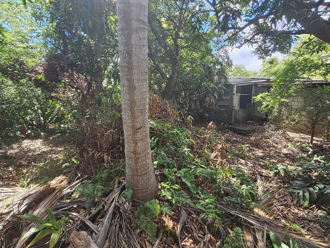 Photo 3 - Maison à SAINTE-MARIE