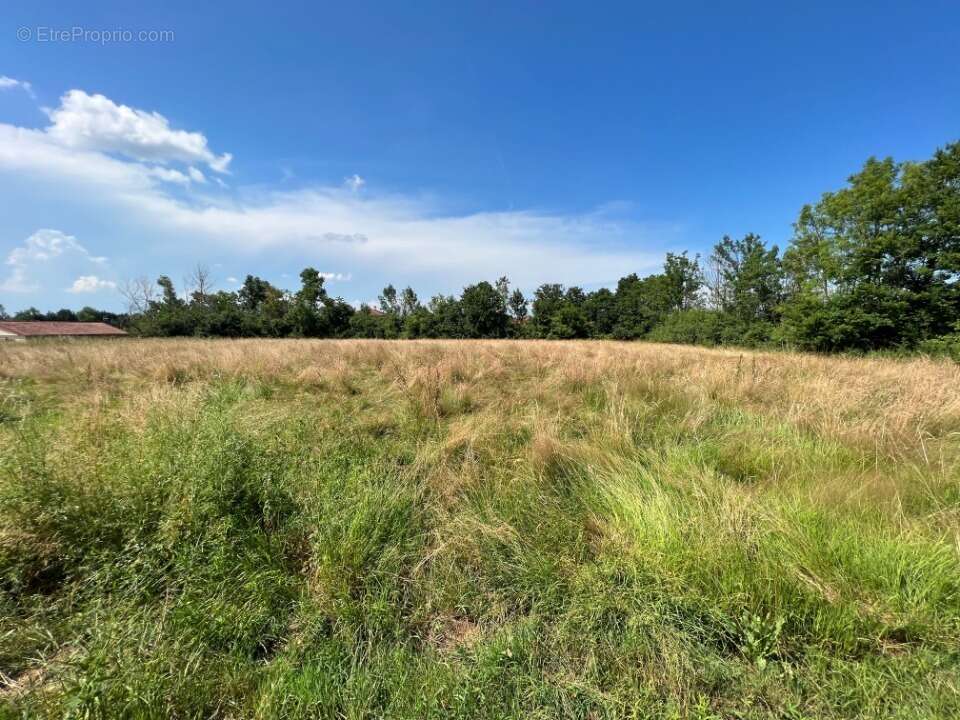 Terrain à CONFRANCON