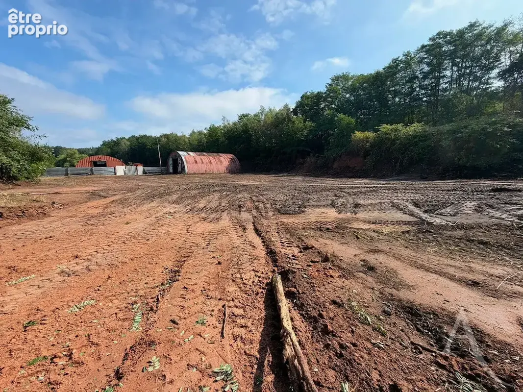 Investissement ensemble immobilier de 1,16 hectare avec 52 ares constructibles et hall d'activités de 500 m² - photo 4