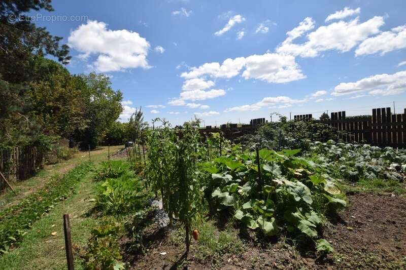 Maison à SAINTE-BAZEILLE