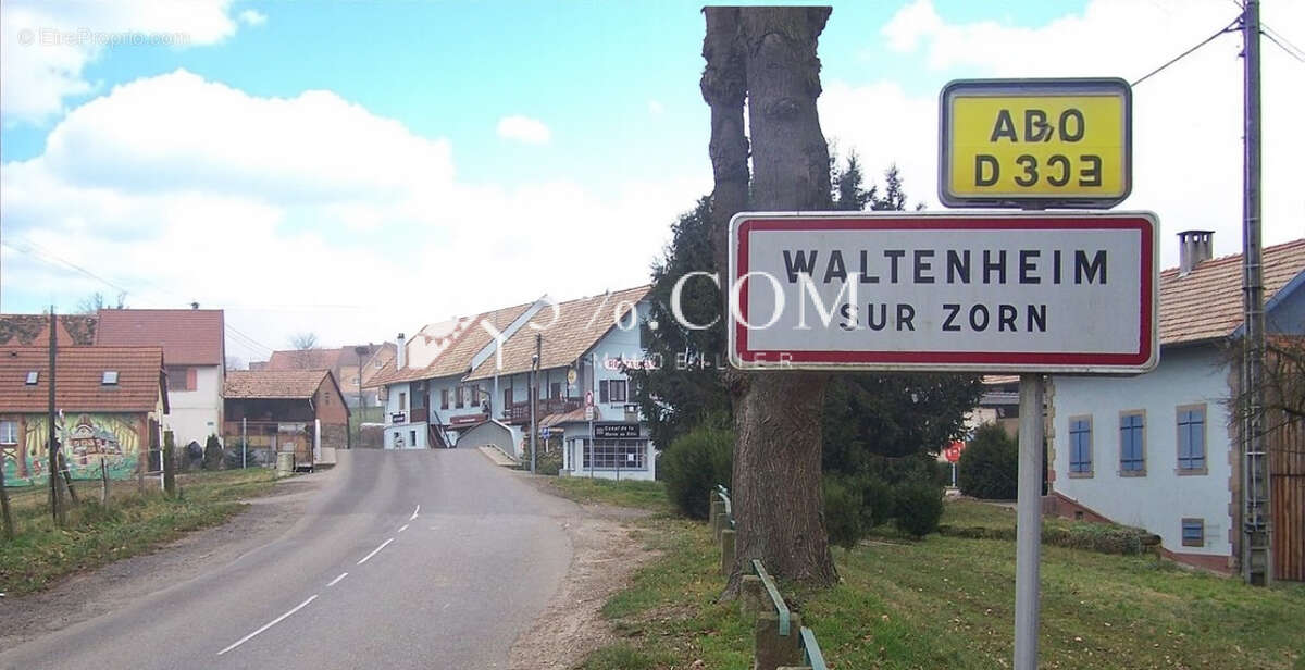 Terrain à WALTENHEIM-SUR-ZORN
