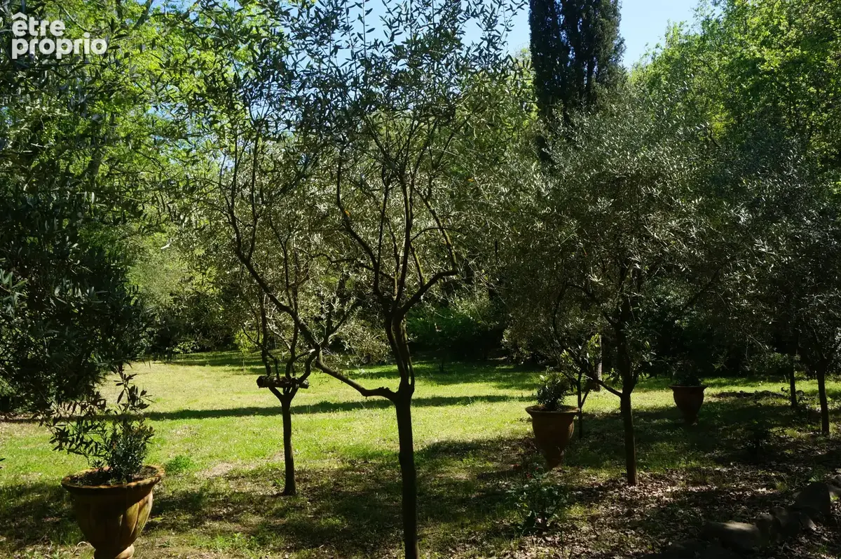 Terrain non constructible avec cabanon - photo 7