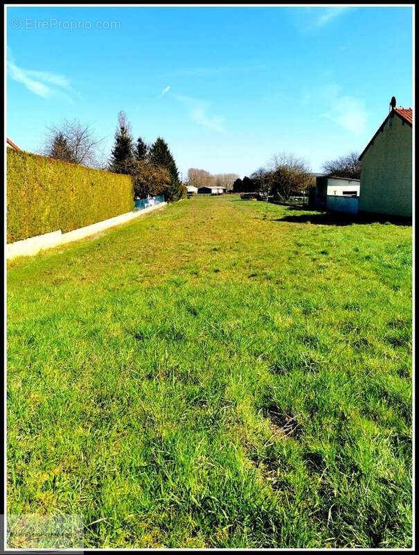 Terrain à PRINGY
