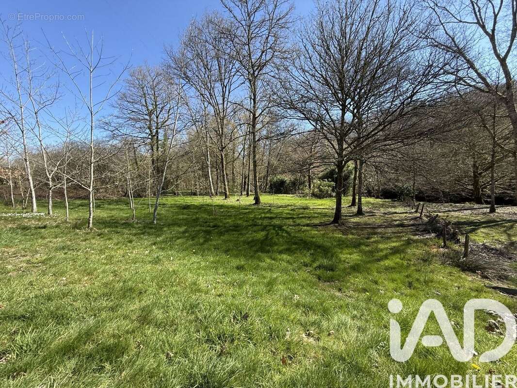 Photo 3 - Terrain à SAINT-PRIEST-TAURION