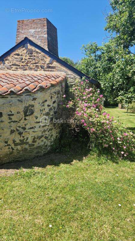 Maison à LIGNE
