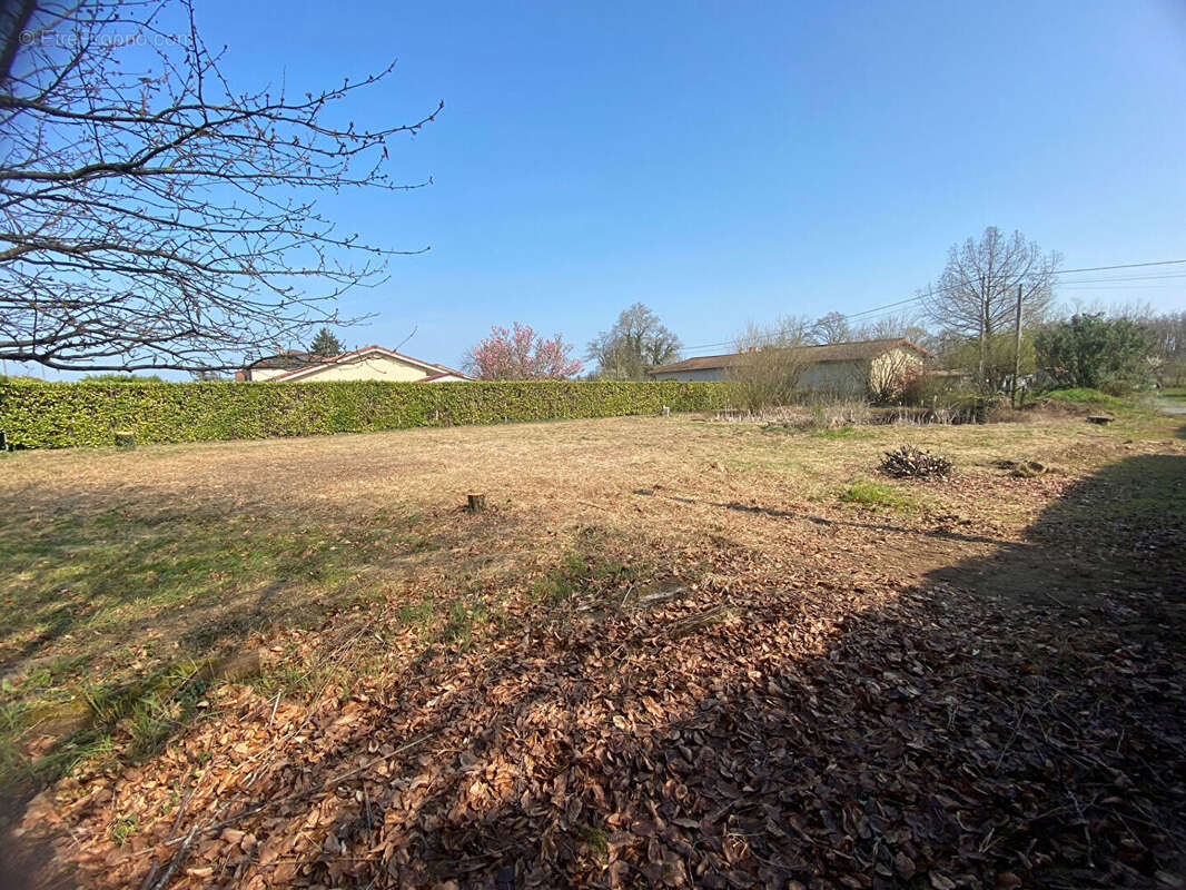 Terrain constructible d'environ 943 m²  secteur calme - Gorrevod 01190 - photo 2