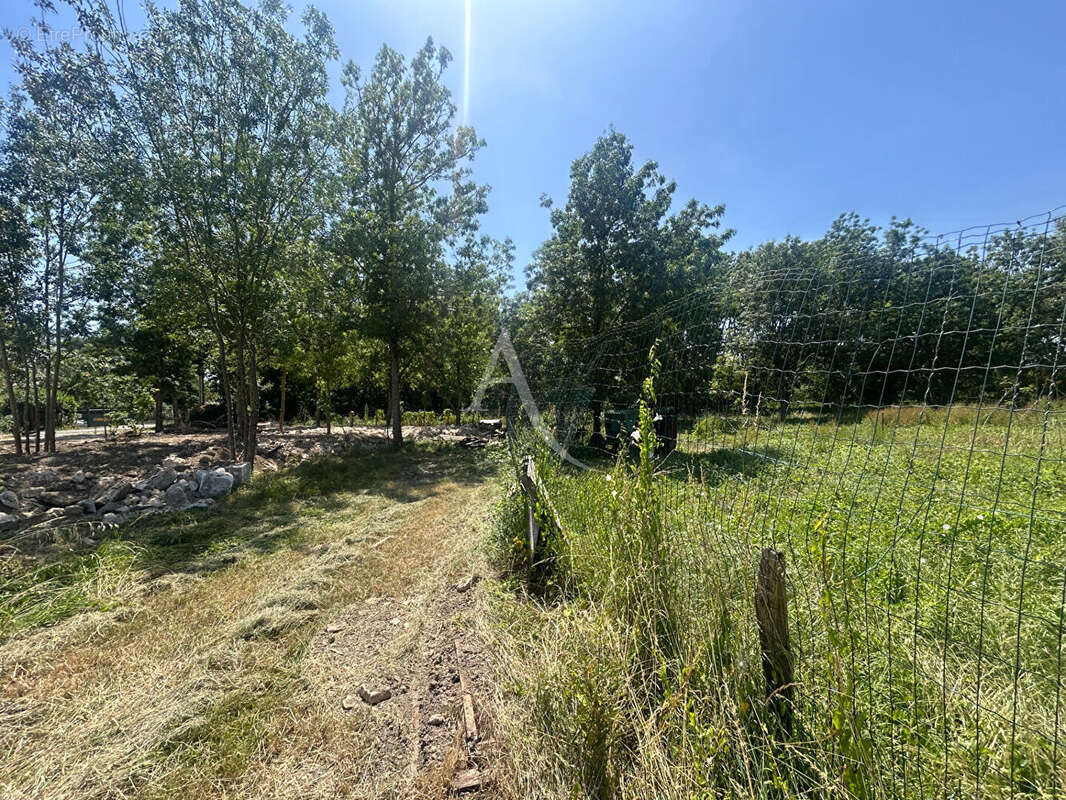 Terrain à bâtir LA TAILLÉE - photo 4