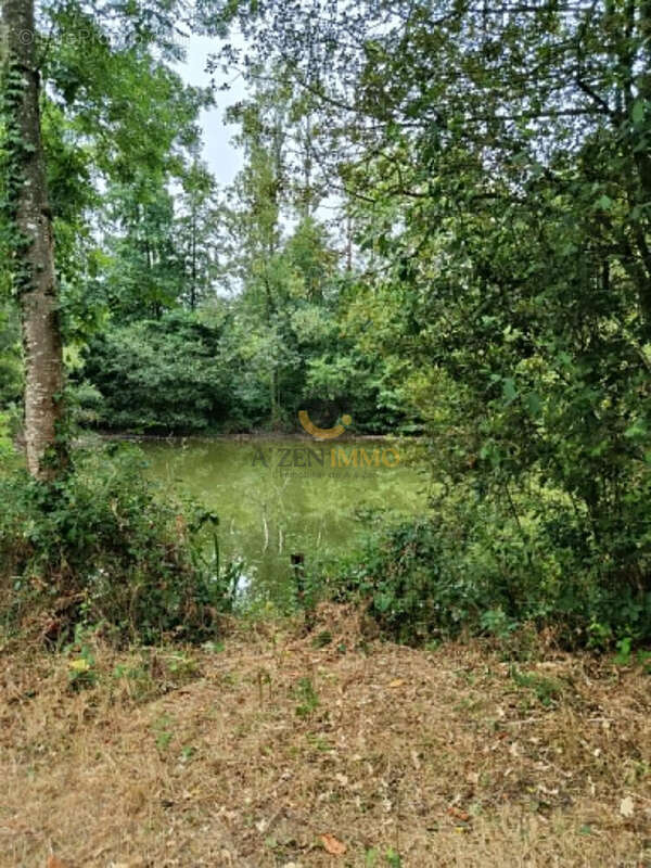 Terrain 4160 m² à Chanteloup  - photo 4
