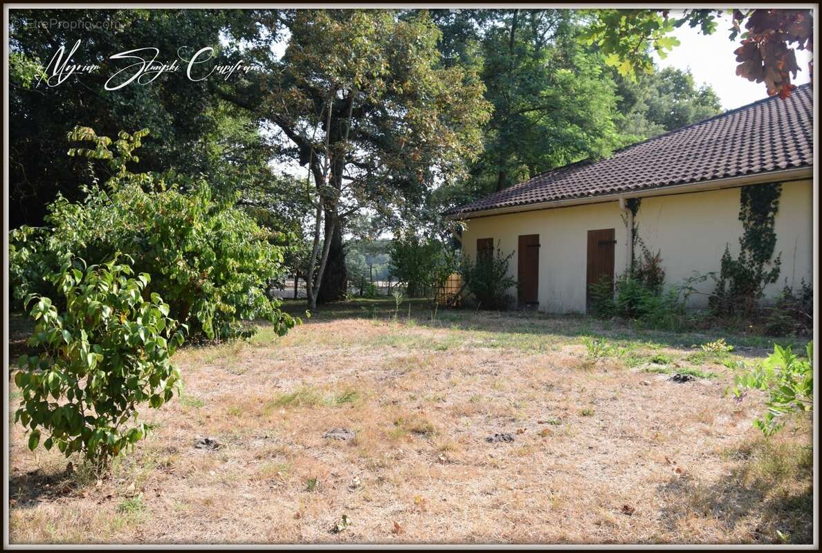Propriete à vendre 10 pièces  (40) proche de l'etang blanc - photo 2