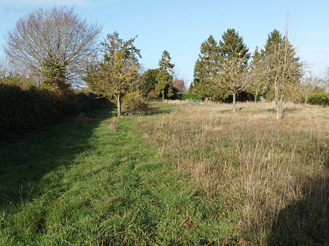 Terrain à POTIGNY