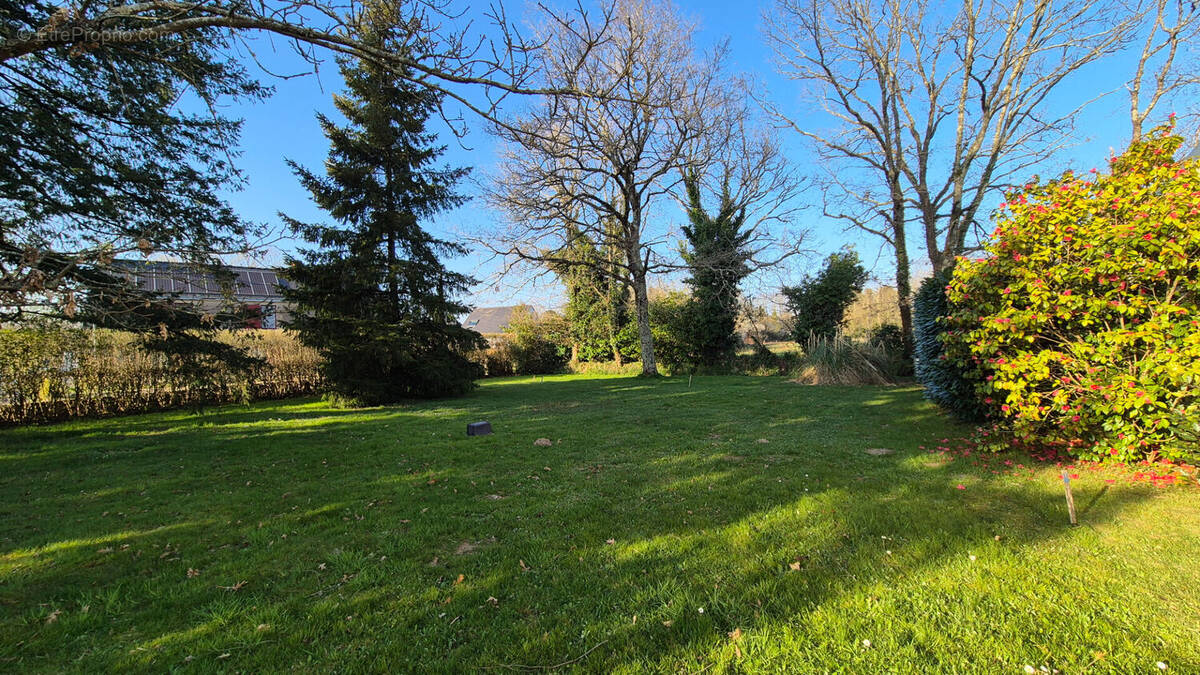 Terrain à VIGNEUX-DE-BRETAGNE