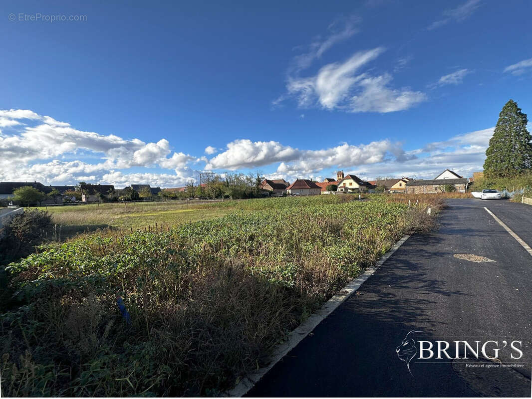 Terrain à MEYENHEIM