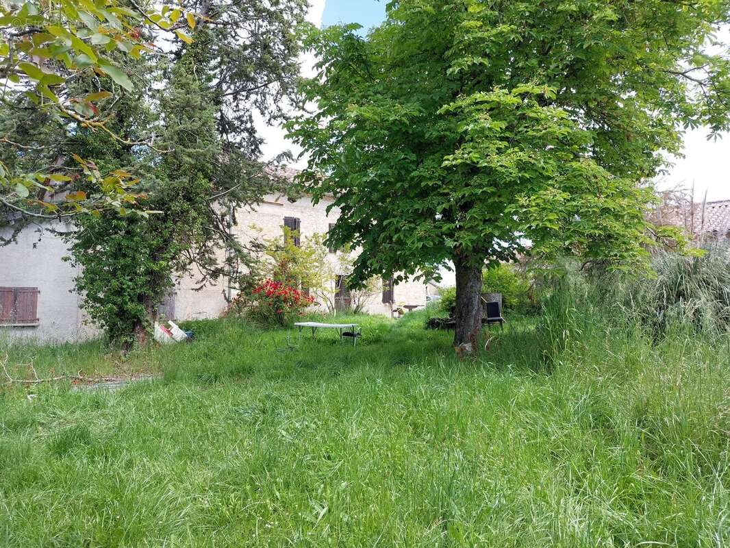 Maison à CORDES-SUR-CIEL