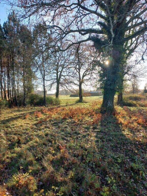 Maison à SAINT-PE-SAINT-SIMON
