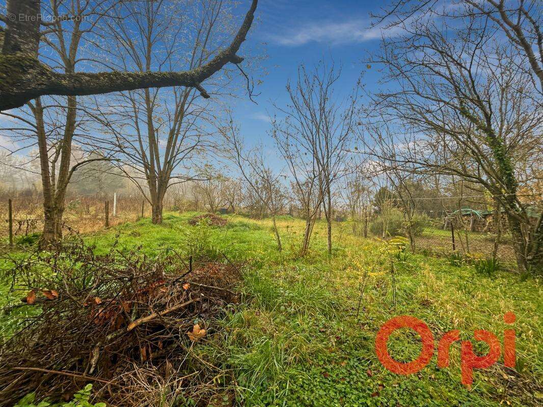 Maison à SAINT-LOUP-DES-CHAUMES