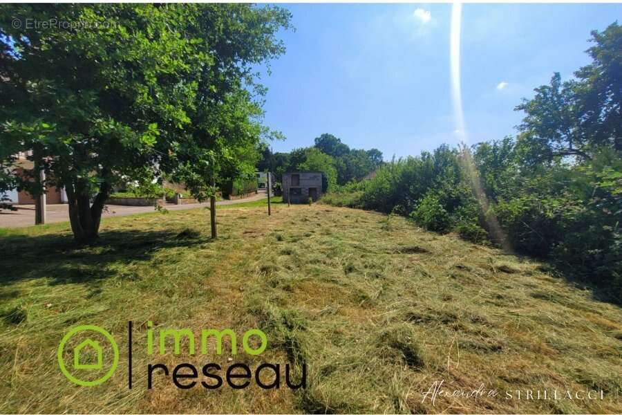 Maison à HOMBOURG-HAUT