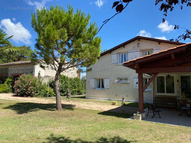 Dpt Tarn (81), à vendre PUYLAURENS maison P9 de 260 m² - Terrain de 5 571,00 m² - photo 25