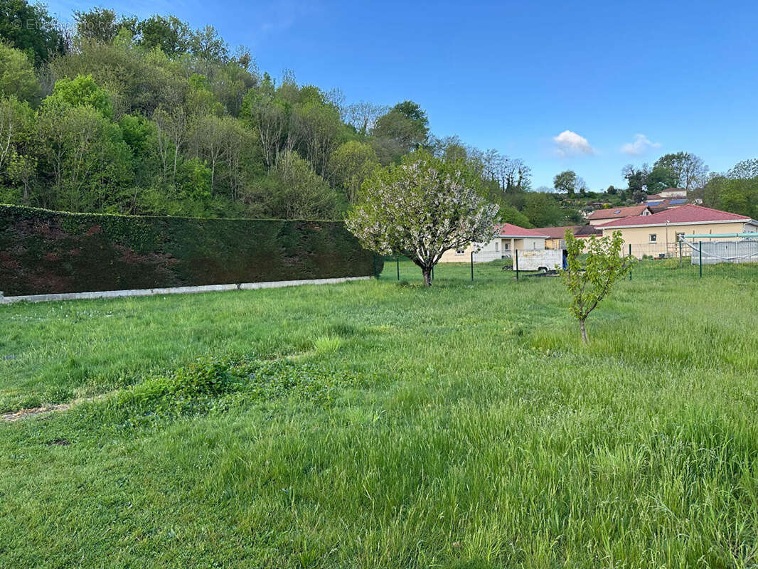 VAULX-MILIEU : terrain à bâtir hors Lotissement. - photo 2