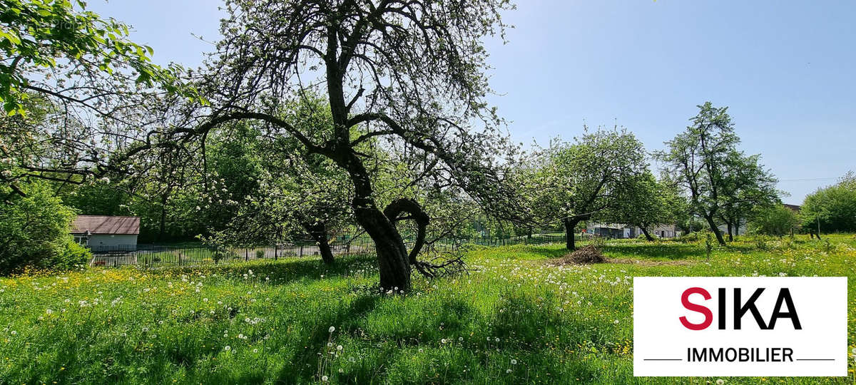 Terrain à SAINT-JEAN-KOURTZERODE